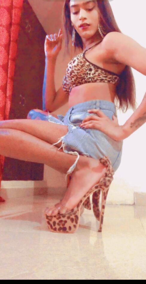 Panchi 4