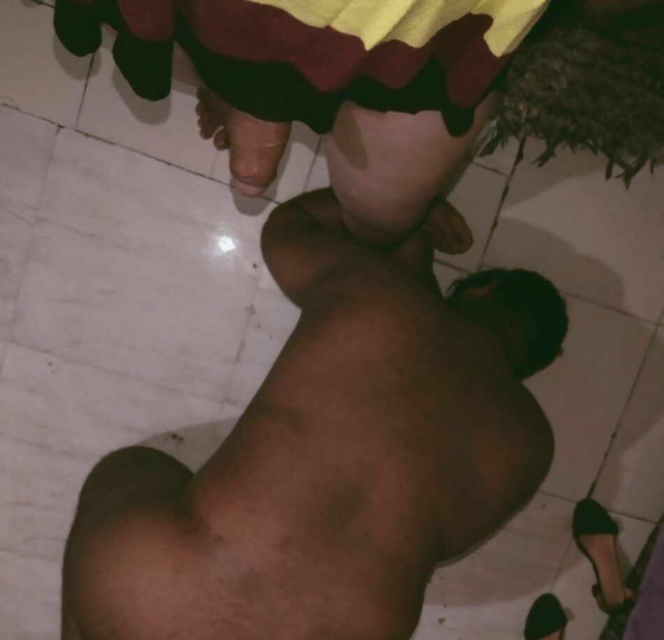 Kamu 7
